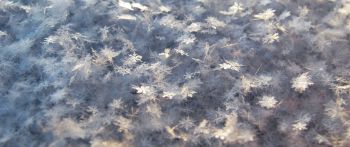 snowflakes, snow, cold Wallpaper 2560x1080