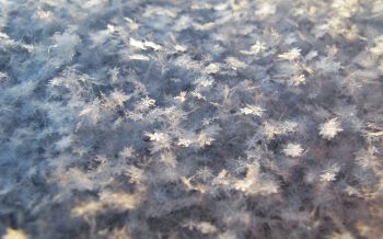 snowflakes, snow, cold Wallpaper 1920x1200