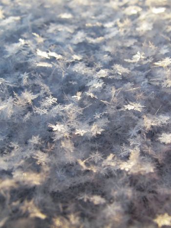 snowflakes, snow, cold Wallpaper 1620x2160