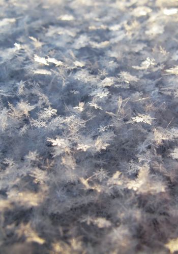 snowflakes, snow, cold Wallpaper 1668x2388