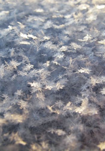 snowflakes, snow, cold Wallpaper 1640x2360