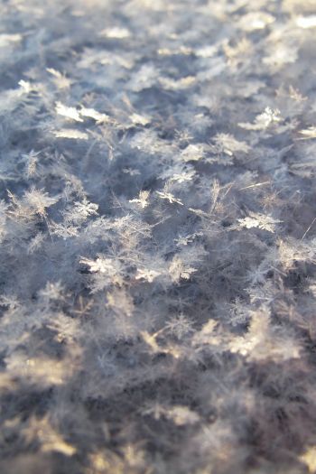 snowflakes, snow, cold Wallpaper 640x960
