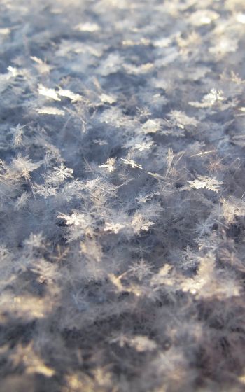 snowflakes, snow, cold Wallpaper 1200x1920
