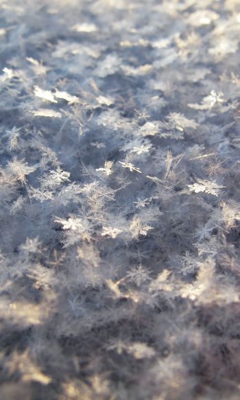 snowflakes, snow, cold Wallpaper 1200x2000