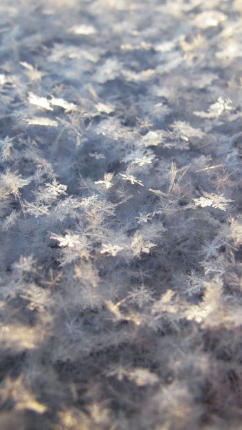 snowflakes, snow, cold Wallpaper 640x1136