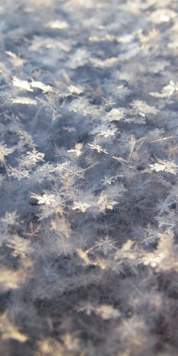 snowflakes, snow, cold Wallpaper 720x1440