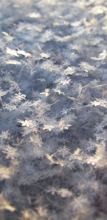 snowflakes, snow, cold Wallpaper 1080x2220