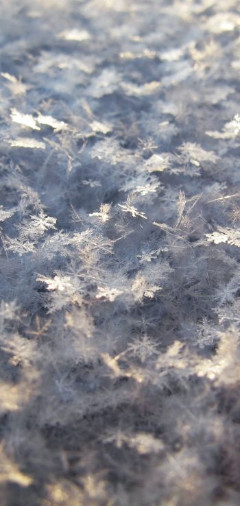 snowflakes, snow, cold Wallpaper 1080x2280