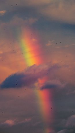 rainbow, clouds, evening Wallpaper 640x1136
