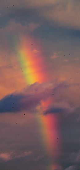 rainbow, clouds, evening Wallpaper 1080x2280