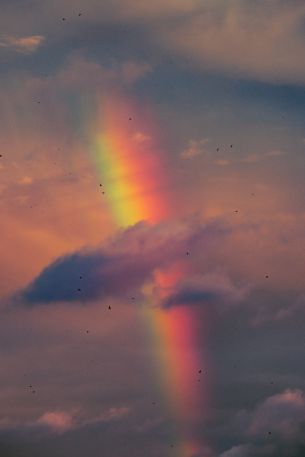 rainbow, clouds, evening Wallpaper 2624x3936