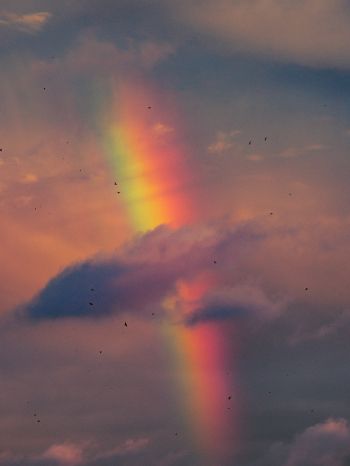rainbow, clouds, evening Wallpaper 2048x2732