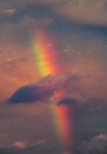 rainbow, clouds, evening Wallpaper 1668x2388