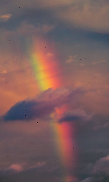 rainbow, clouds, evening Wallpaper 1200x2000