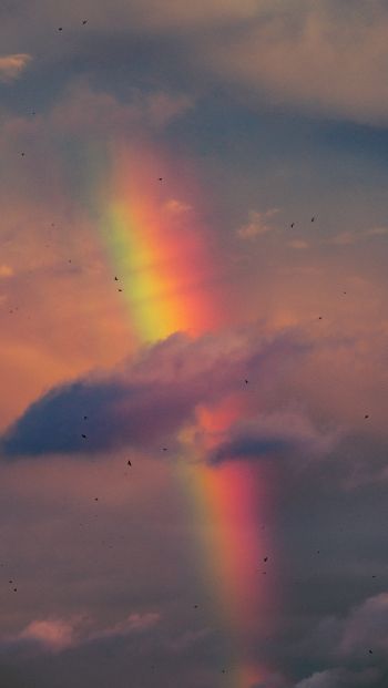 rainbow, clouds, evening Wallpaper 640x1136