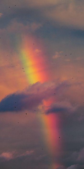 rainbow, clouds, evening Wallpaper 720x1440