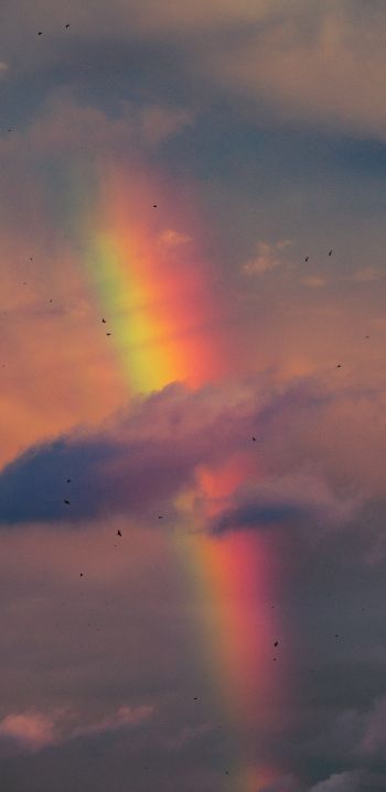 rainbow, clouds, evening Wallpaper 1080x2220