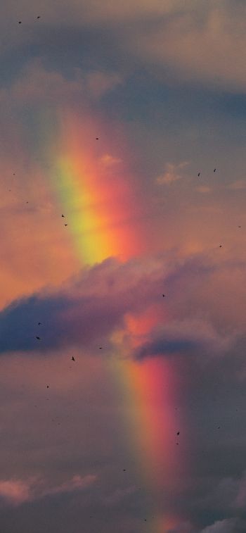 rainbow, clouds, evening Wallpaper 1125x2436