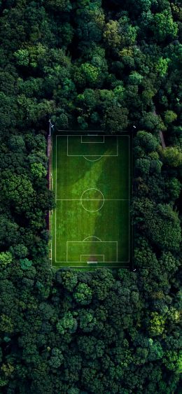 soccer field, soccer, green wallpaper Wallpaper 1080x2340