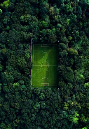 soccer field, soccer, green wallpaper Wallpaper 1640x2360
