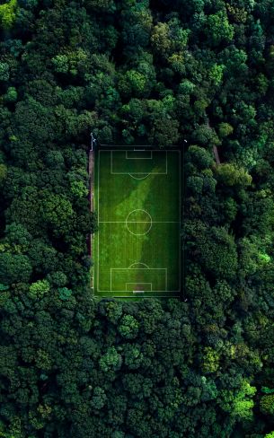 soccer field, soccer, green wallpaper Wallpaper 1600x2560