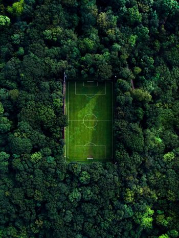 soccer field, soccer, green wallpaper Wallpaper 1668x2224
