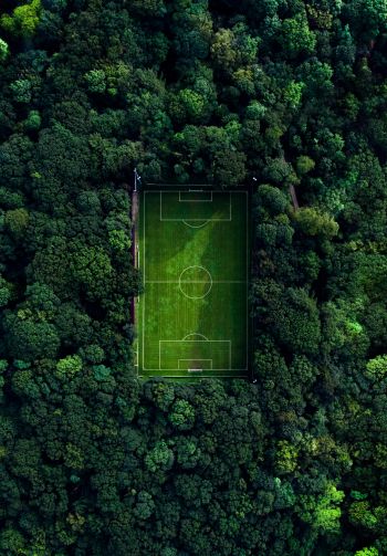 soccer field, soccer, green wallpaper Wallpaper 1640x2360