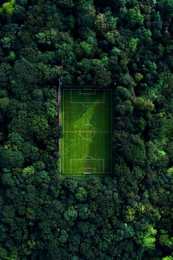 soccer field, soccer, green wallpaper Wallpaper 640x960