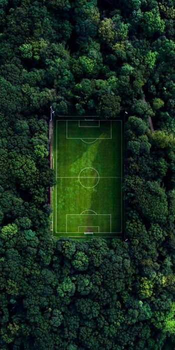 soccer field, soccer, green wallpaper Wallpaper 720x1440