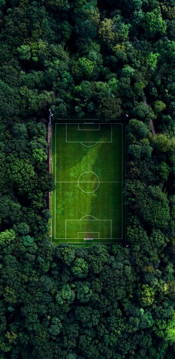 soccer field, soccer, green wallpaper Wallpaper 1440x2960