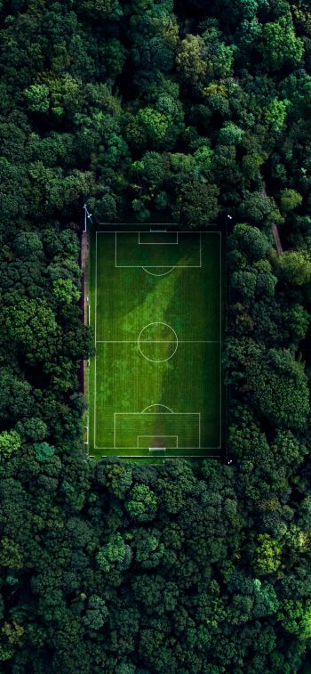 soccer field, soccer, green wallpaper Wallpaper 1284x2778