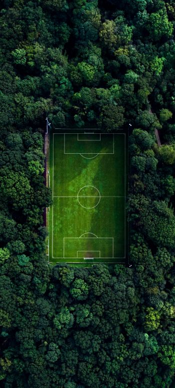 Обои 720x1600 футбольное поле, футбол, зеленые обои