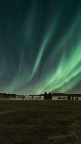 northern lights, night, fog Wallpaper 640x1136