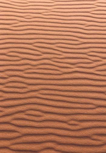 sand, waves Wallpaper 1640x2360