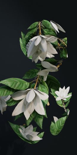 3D modeling, leaves Wallpaper 720x1440