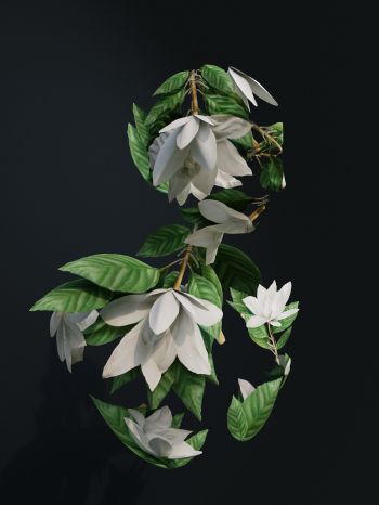 Обои 1620x2160 3D моделирование, листья