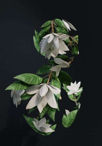Обои 1668x2388 3D моделирование, листья