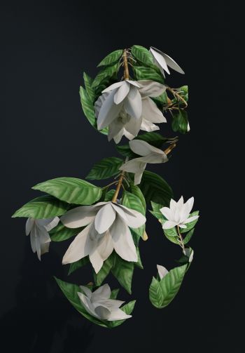 Обои 1640x2360 3D моделирование, листья