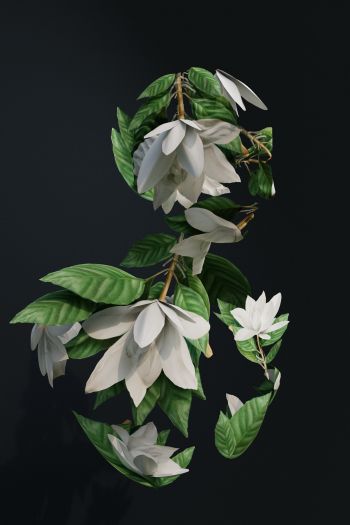 3D modeling, leaves Wallpaper 640x960