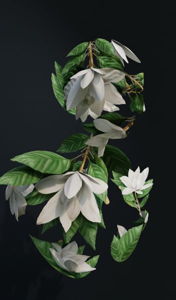 Обои 600x1024 3D моделирование, листья
