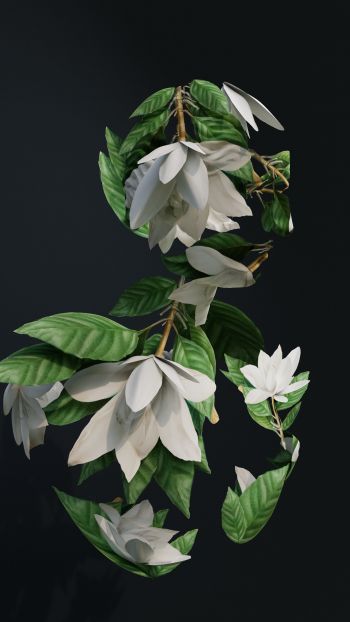 3D modeling, leaves Wallpaper 1440x2560