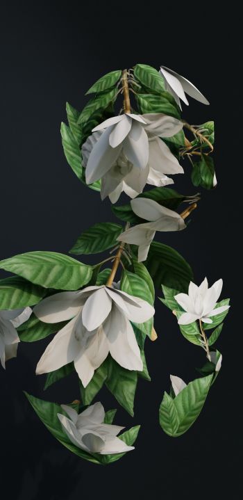 Обои 1080x2220 3D моделирование, листья
