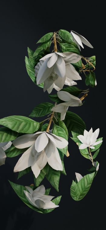 Обои 828x1792 3D моделирование, листья