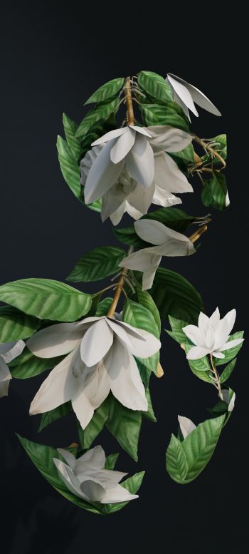 Обои 1080x2400 3D моделирование, листья