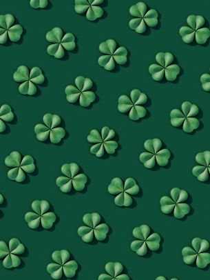clover, green Wallpaper 1668x2224