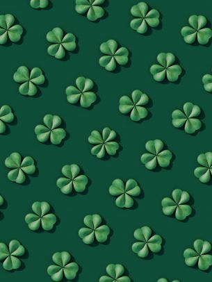 clover, green Wallpaper 1536x2048