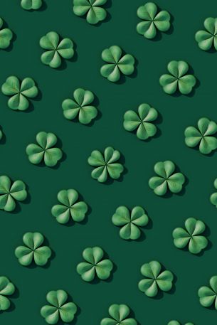 clover, green Wallpaper 640x960