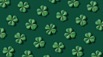 clover, green Wallpaper 1600x900