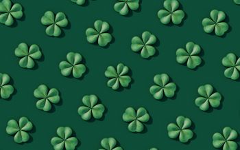clover, green Wallpaper 2560x1600