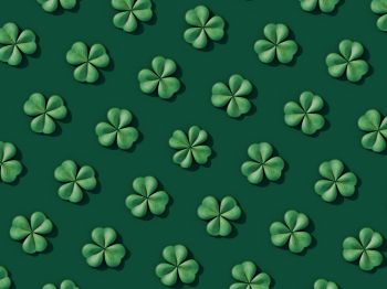 clover, green Wallpaper 1024x768